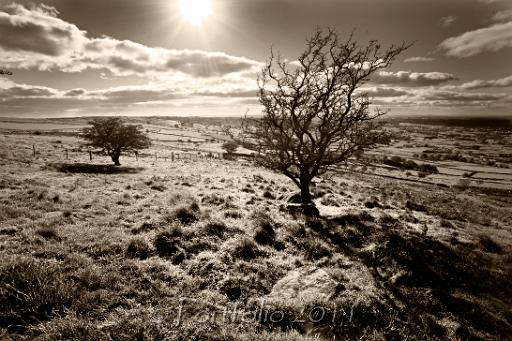 slemish1927.jpg