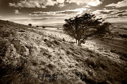 slemish1939.jpg