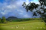slemish