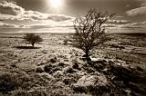 slemish1927